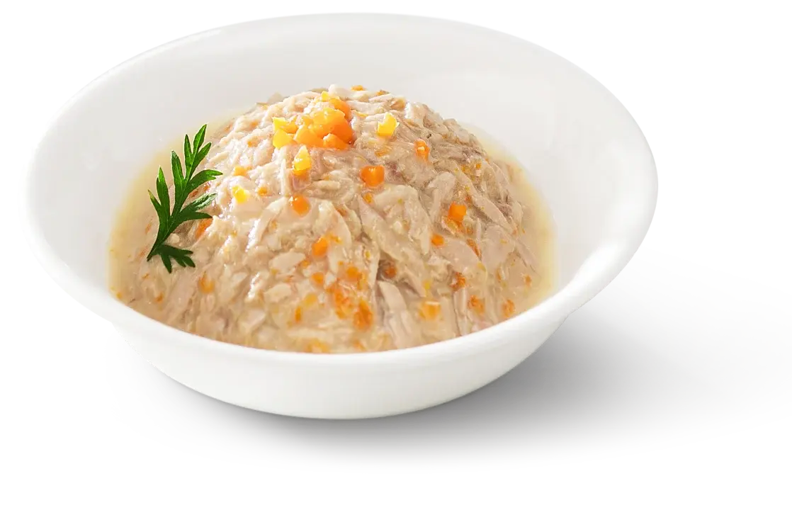 TUNA WITH CARROT IN GRAVY PLATE