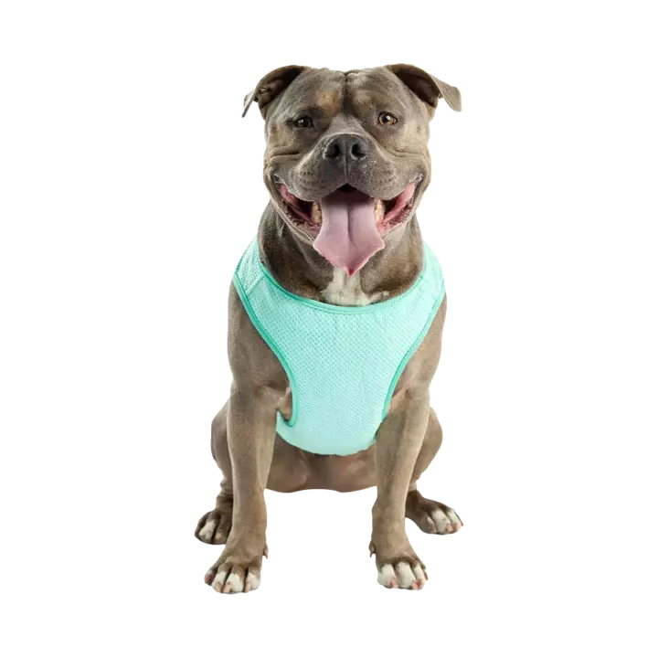 GC331S9 ELASTOFIT ICE VEST AQUA 3XL