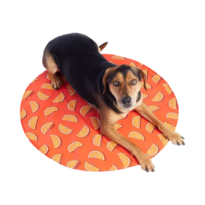 GC339S3 ICE MAT ORANGE L_XL 1
