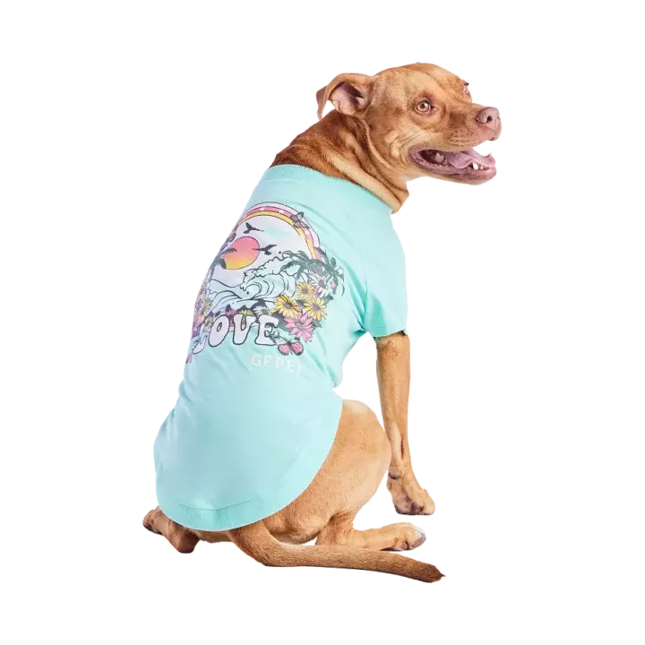 GJ459S3 GRAPHIC TEE HEATHER AQUA 4